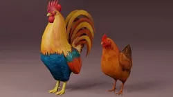Low Poly Rooster and Hen Rigged 3D models Low-poly 3D model