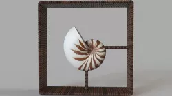 Nautilus Shadowbox 3D model