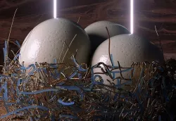 Ostrich Egg 3D model