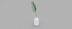Plant in a Pot 3D model