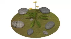 Stones and dandelion 3D model