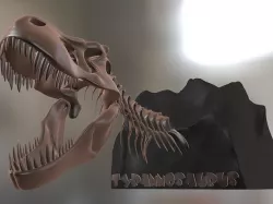 Tyrannosaurus Cranium Low-poly 3D model