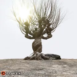 Willow tree corona 3D model