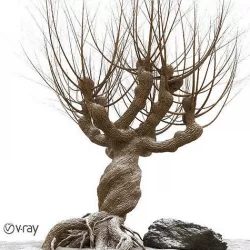 Willow tree  vray 3D model