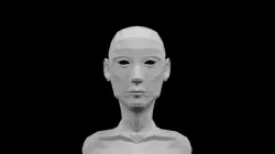 Woman Bust for Practicing  3D model