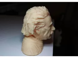 Albert Einstein Bust Low-poly 3D model