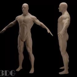 Anatomy Sculpt 3D model
