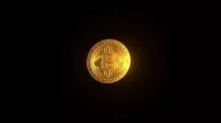 Bitcoin coin 3D model