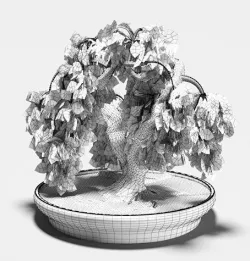 bonsai 3D model