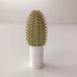 Cactus 3D model