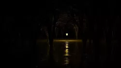 Creepy Infested Forest 3D model