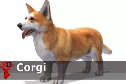 Dog - Corgi Low-poly 3D model