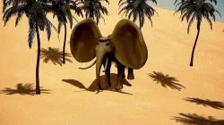 elephant in africa 3D model