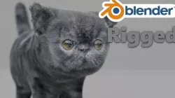 Exotic Shorthair 3D model