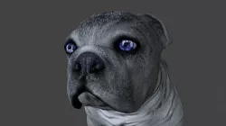 FEBU-011 Dog walk in place 3D model