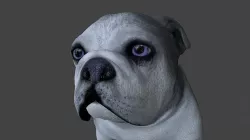 FEBU-012 Dog walk in place 3D model