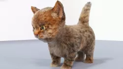 Fur Cute Cat kitten Gray 02 No Rig Low-poly 3D model