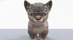 Fur Cute Cat kitten Gray No Rig Low-poly 3D model