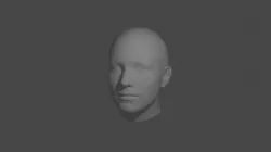 Human Head Model 3D model