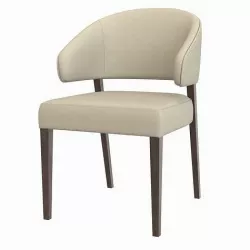 Kaya Dining Chair 3D model