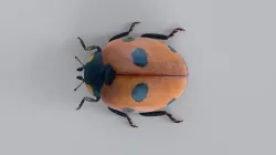 ladybug 3D model