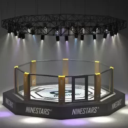 MMA arena octagon 3D model