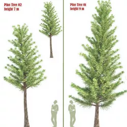 Pine Tree set 01 3D model