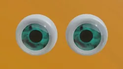 Realistic 3D Eevee Eye Models  3D model