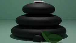 Spa pebbles 3D model
