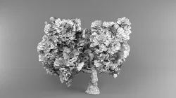 Spruce  3D model