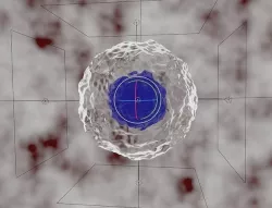 Stem Cell 3D model