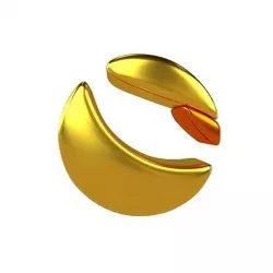 Terra Coin v2 003 Low-poly 3D model