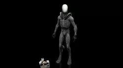 Xenomorph  Low-poly 3D model