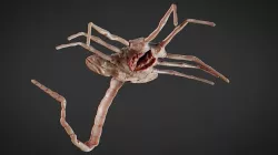 Alien Low-poly 3D model