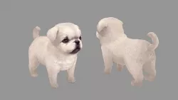 Cartoon pet puppy - White Paco - baby dog Low-poly 3D model