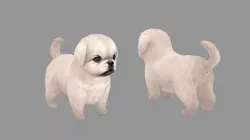 Cartoon pet puppy - White Pekingese - baby dog  Low-poly 3D model