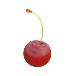 Cherry 3D model