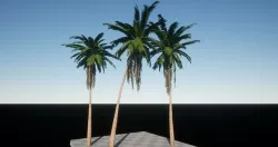 Coconut Palms for Games Low-poly 3D model