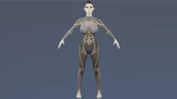 Cute Nude Girl Futa rigged Animated Gameready Low-poly 3D model