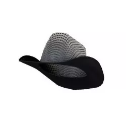 Dot Cowboy Hat 3D model