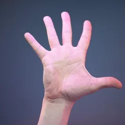Finger Number 5 Low-poly 3D model