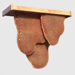 Honeycomb 3D model