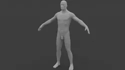 Human male rigged 3D model