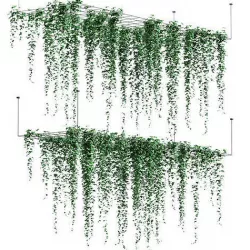Ivy hanging from the ceiling on a trellis - 6 models 3D model