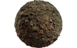 lichen and Moss covered rock pbr Texture