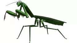 Mecha Mantis Low-poly 3D model