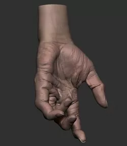 Old Hand - Realistic 3D Hand model 3D model