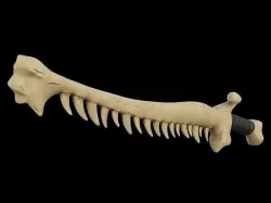 Realistic toothy bone sword 3D model