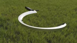 Sickle 3D model
