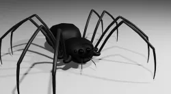 Spider - Aranha Low-poly 3D model